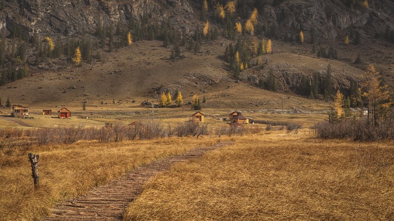 алтай Золотыми дорогами Алтаяphoto preview