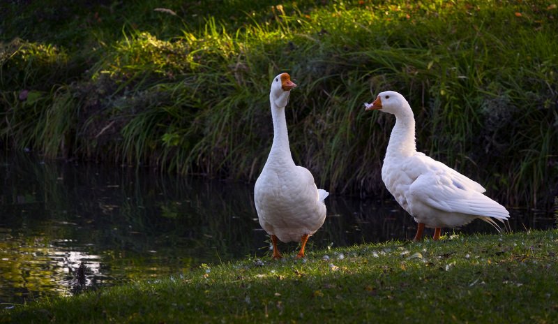 На самом юге \