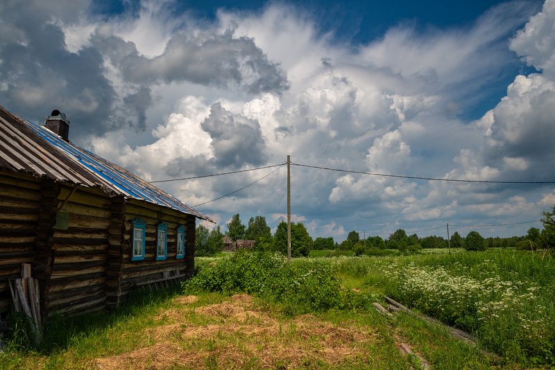 великий двор,вологодчина,кема,север,лето, Июнь.photo preview