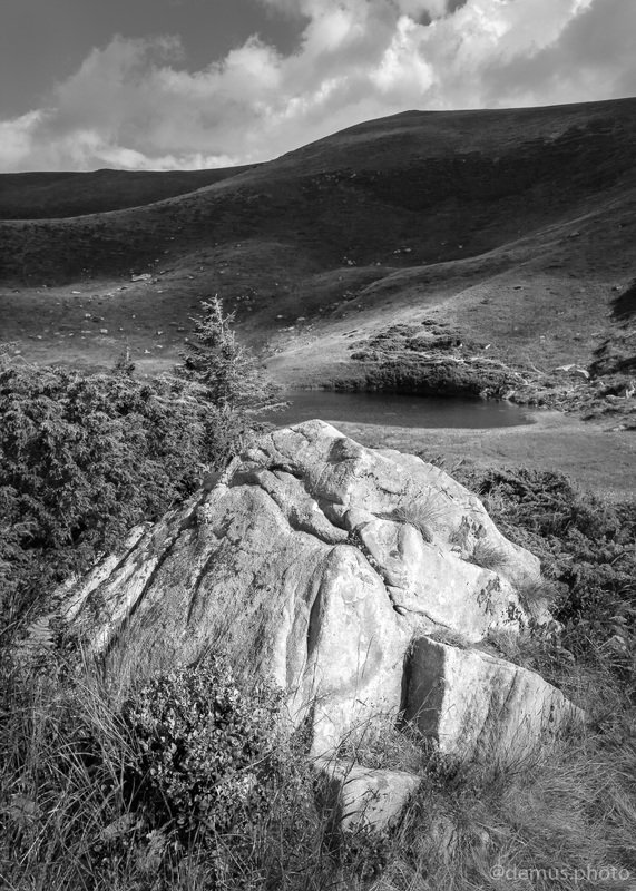 чб, черно белый, монохром, пейзаж, озеро, камень, Карпаты, лето Озеро Апшинец. Карпаты.photo preview