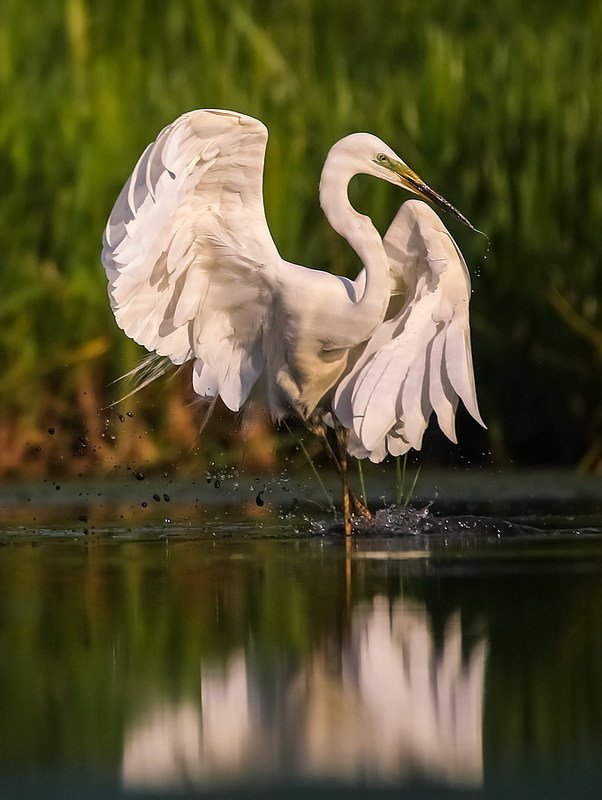 Рок-н-роллphoto preview