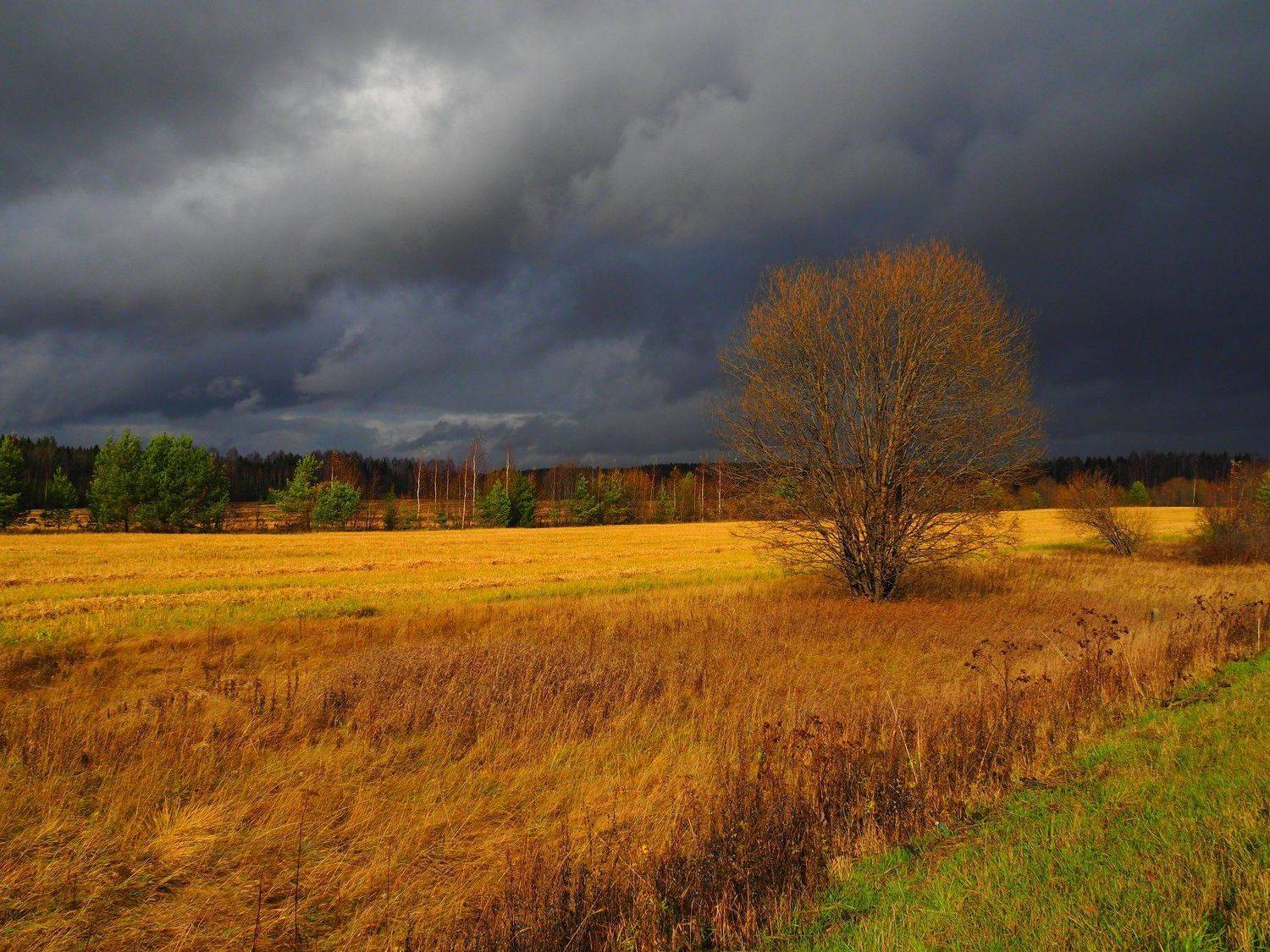 , Андрей Перешеин