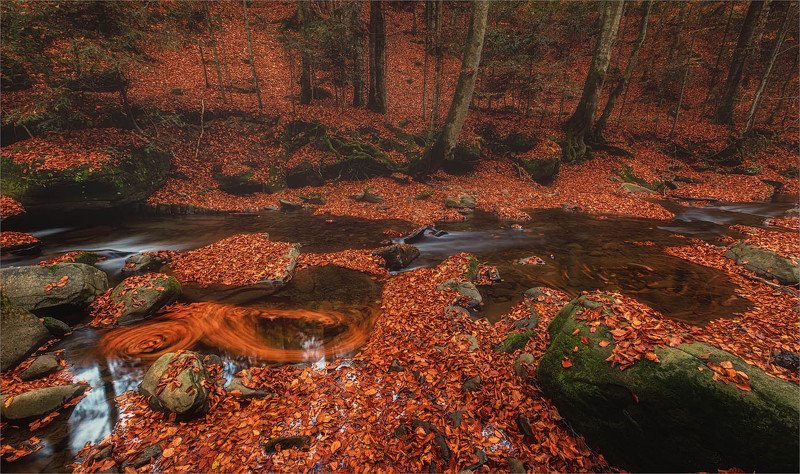 Тихонько речушка течетphoto preview