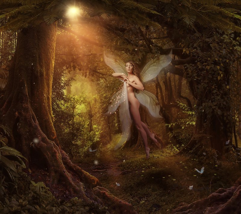 Carnival Rowphoto preview