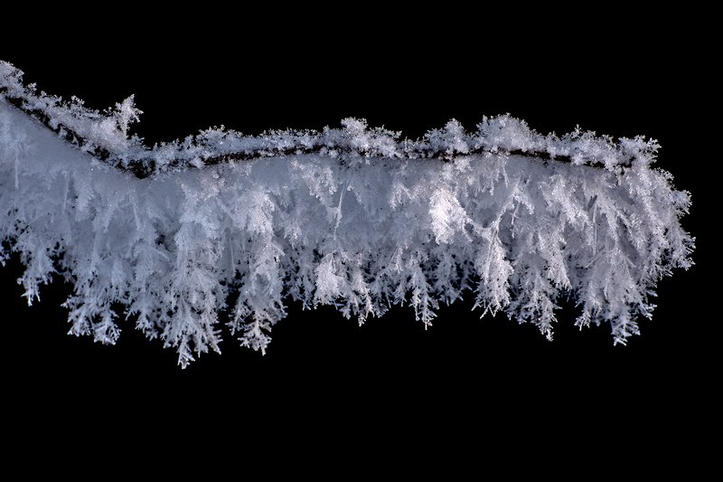 мороз,иней,снег,зима,макро заросли инеяphoto preview