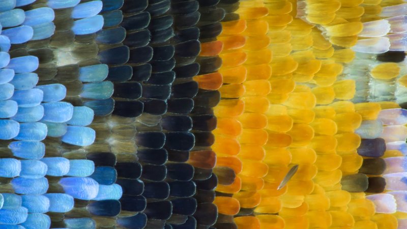 35 мм 6х6 Art Art-nude BW Bw-nude Estet MF Fine art nude Moscow Nu Nude Saratov art artnu b&w black body eyes film flare freckles geometry girl lattice light m-format middle model nature nu nude paeonia photo photography portrait reflection reflections so Butterfly Wingphoto preview