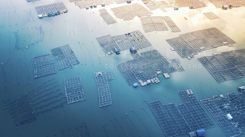 Море домаphoto preview