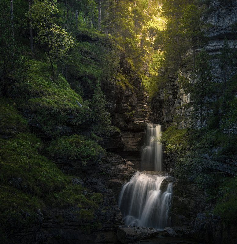 Hidden in Greeneryphoto preview