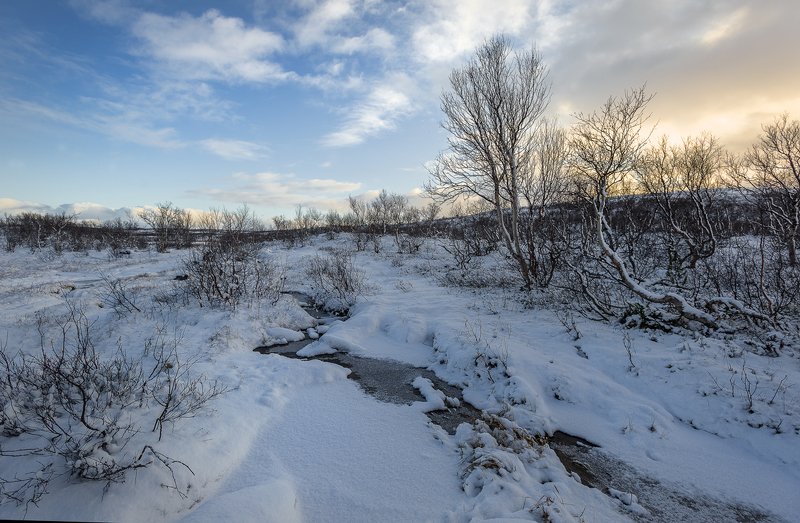 ...и октябрь месяц зимнийphoto preview