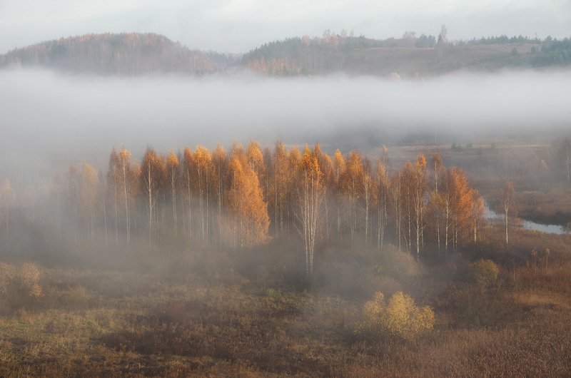 изборск, осень Золотая осеньphoto preview