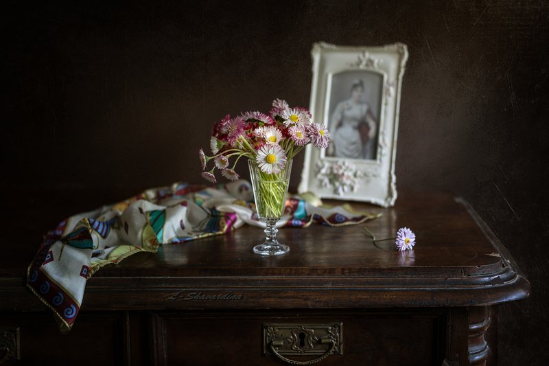 Маргариткиphoto preview