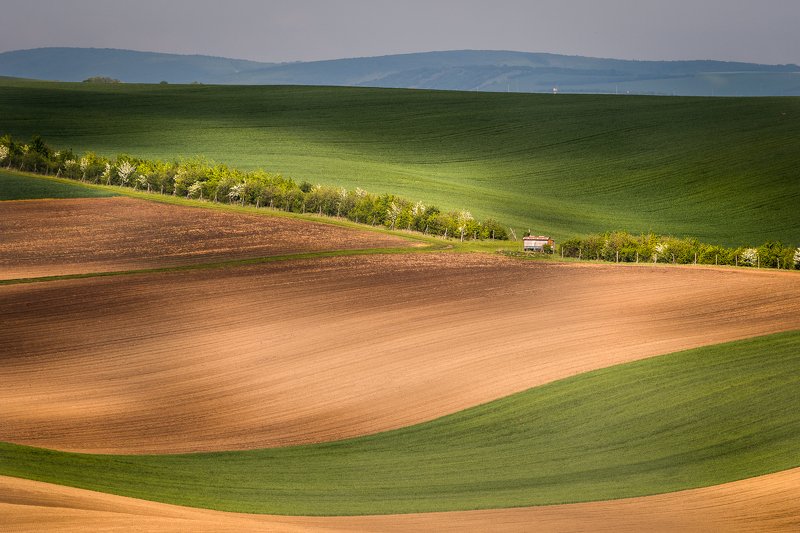 south moravia, czech republic, sunrise, fields, hills, shadows, journey, travel Моравские дниphoto preview
