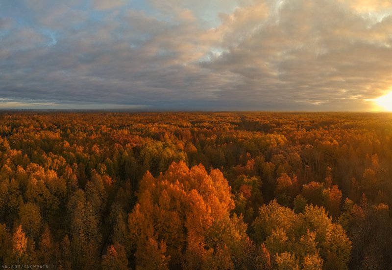 autumn, nature, aerial, drone, аэрофотосъемка, коптер, природа, пейзаж, landscape, осень, djispark Октябрь. Рассвет над лесомphoto preview