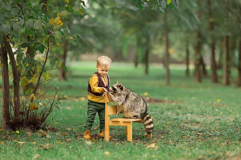фотограф, зеркальный фотоаппарат canon mark iii, фотопрогулка, мальчик, енот, закат, ребенок, детская фотосессия, детский фотограф, малыш, счастье, радость, дети на фото, семейная фотография, любовь, фотосессии с животными, восторг *****photo preview