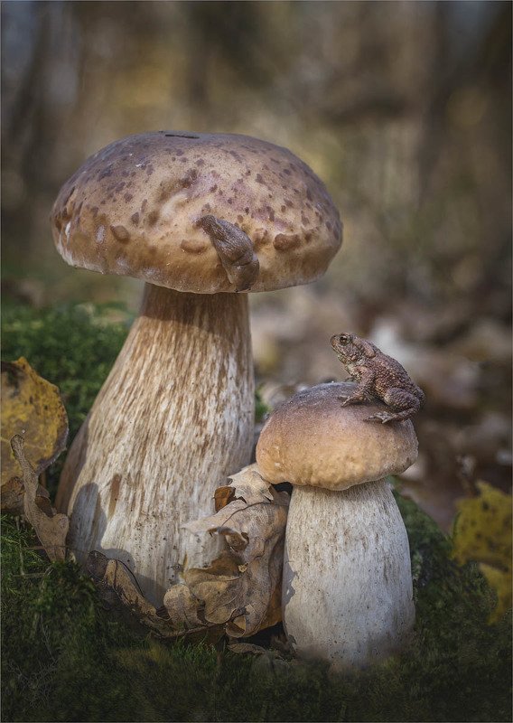 Парочкаphoto preview