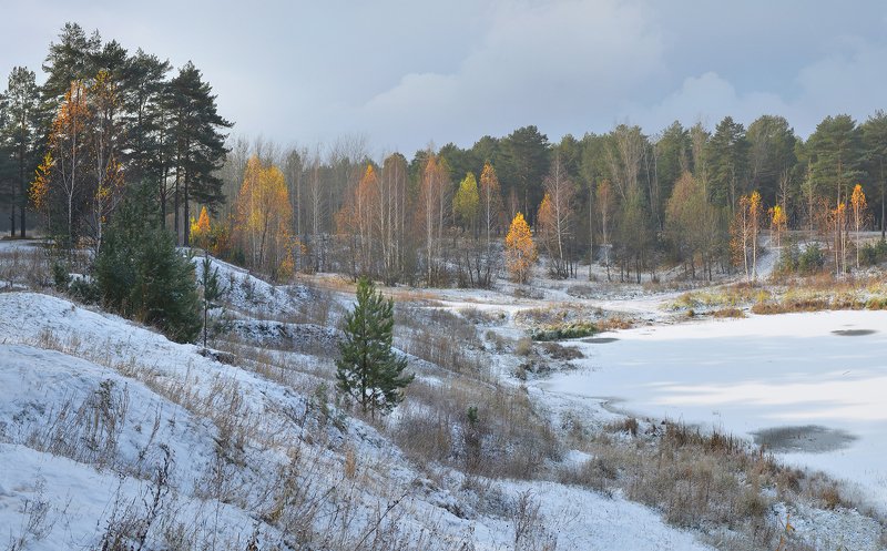 туман, утро, снег, осень, октябрь, деревья, солнечный свет Прозрачность фото превью