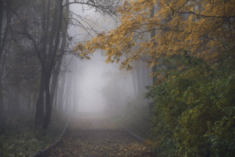 В осеннем парке...photo preview