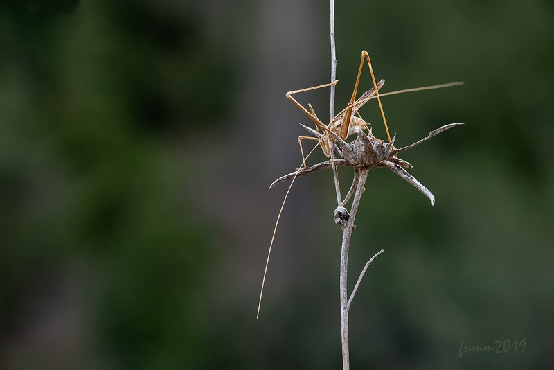 И ВНОВЬ УРОКИ КОМПОЗИЦИИphoto preview