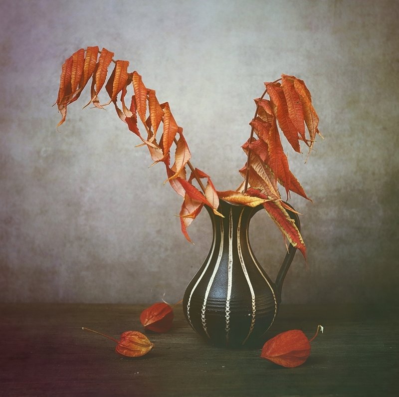 jesienniephoto preview