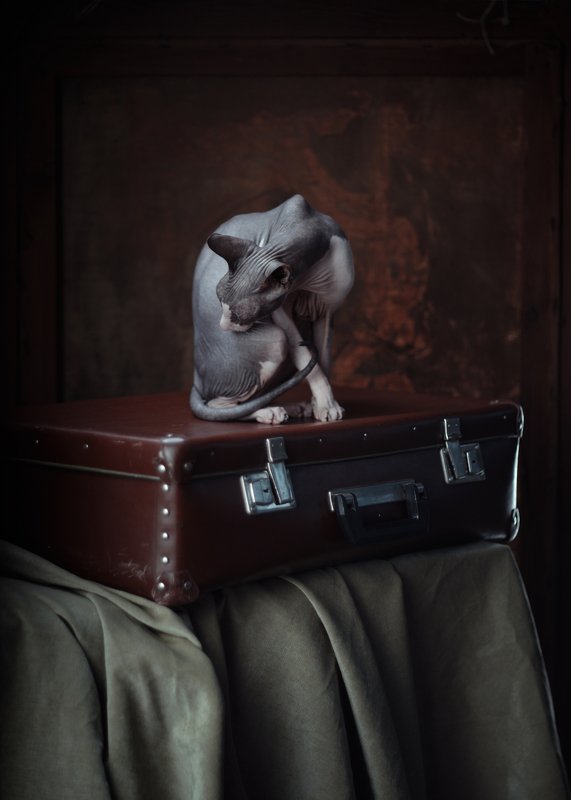 Лишь по ночам, склонясь к долинам, Ведя векам грядущим счет, Тень Данта с профилем орлиным О Новой Жизни мне поет. А.Блок*photo preview