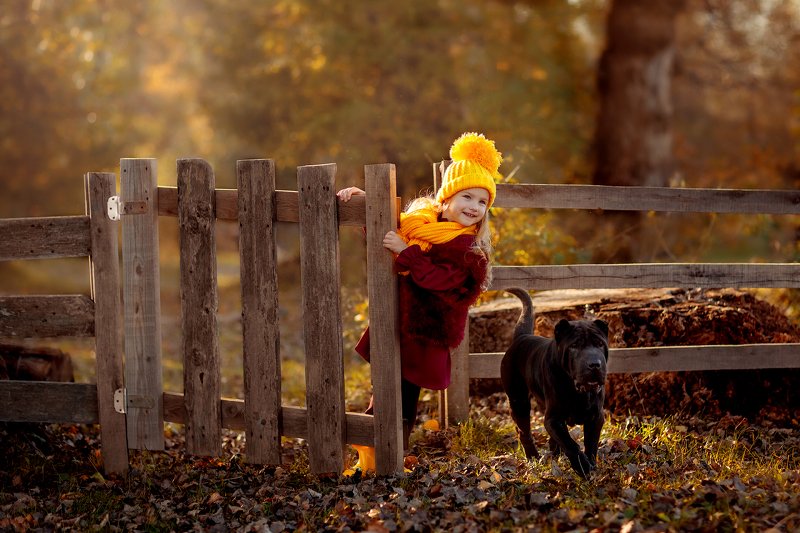 Осенняя прогулкаphoto preview