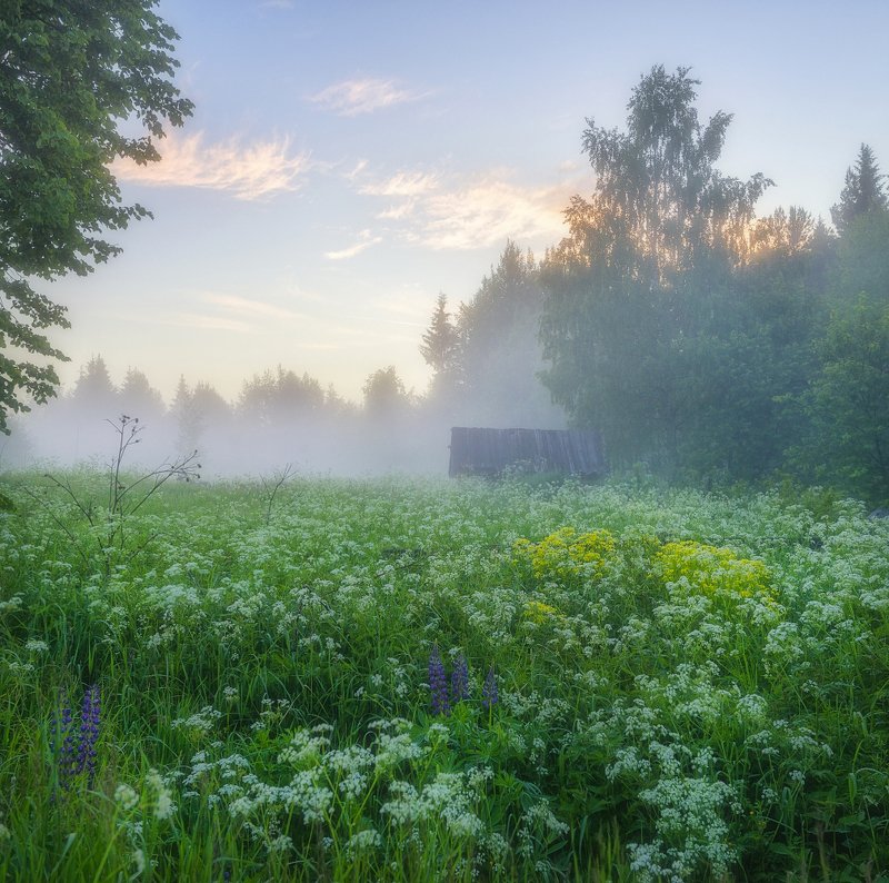 Избушка у опушкиphoto preview