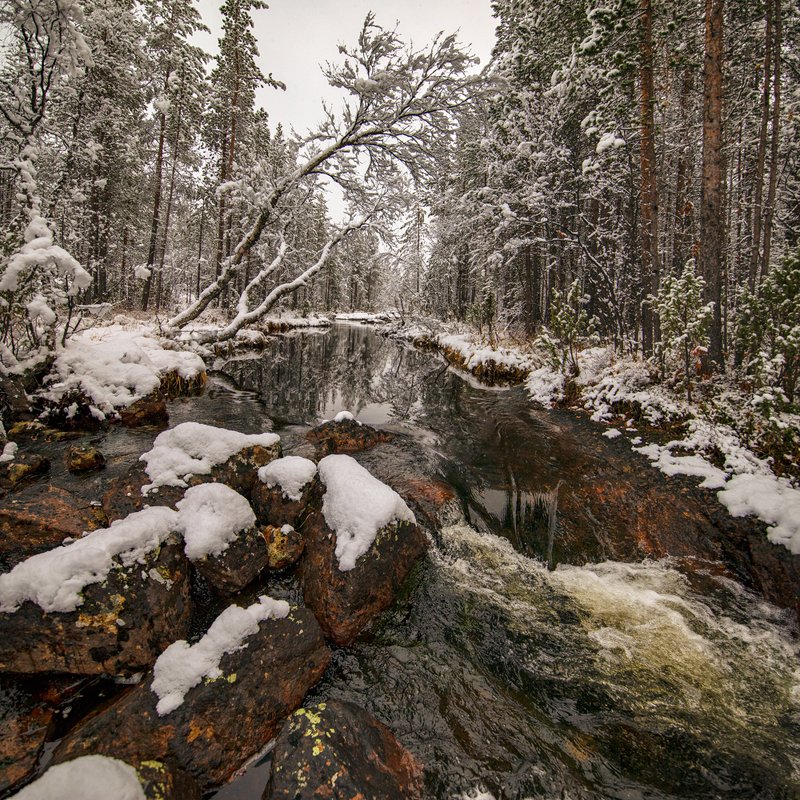 Колыбельная засыпающему лесу ...photo preview