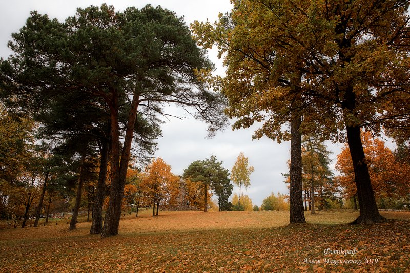 пейзаж , Беларусь ,  Место Вечного сна photo preview