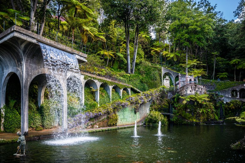 madeira ,funchal ,botanicalgarden ,madeirabotanicalgarden ,garden ,waterfall ,manmadewaterfall ,history ,plants ,floral ,diversity ,beautiful ,amazing ,jardimbotânicodamadeira ,portugal ,pillars ,lake ,koi ,koifish ,fish ,fontane ,water ,palmtrees ,tropic Garden of historyphoto preview