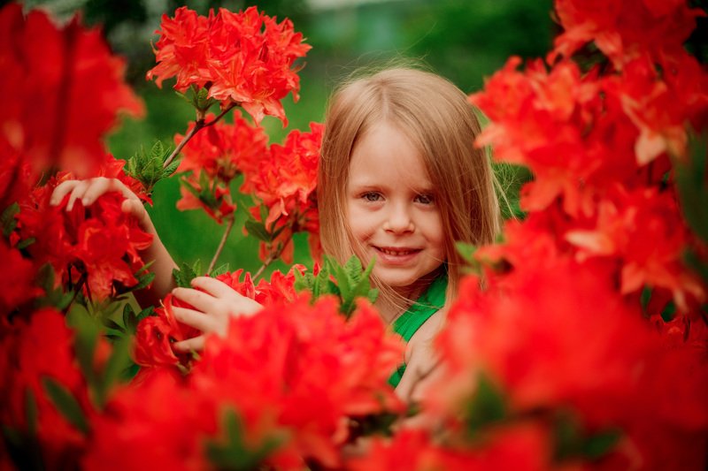 Аленький цветочекphoto preview