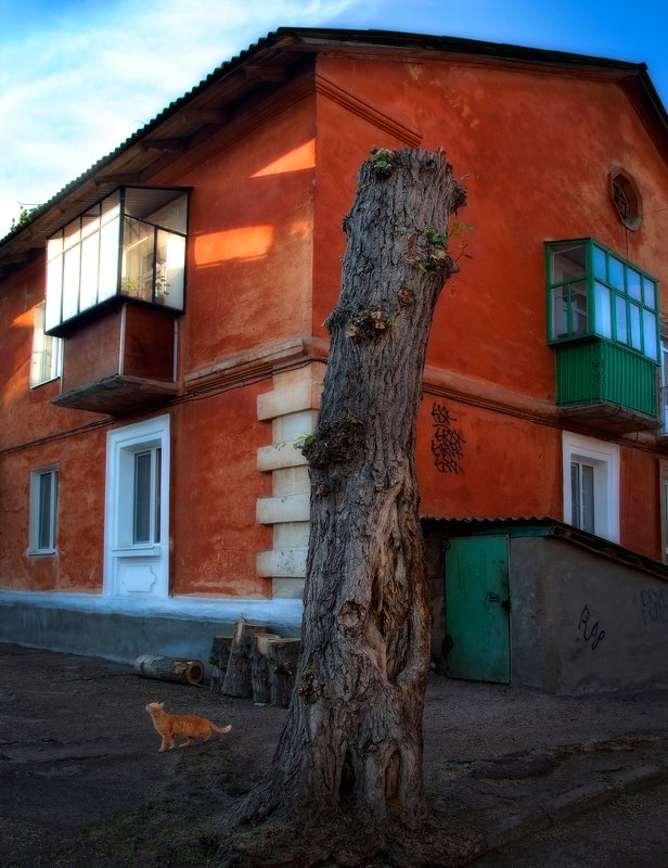 город,двор,дома,старый,уютный,кот Дворик,которого уже нет 6 фото превью