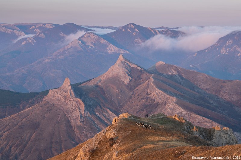 Рассветная идиллия фото превью