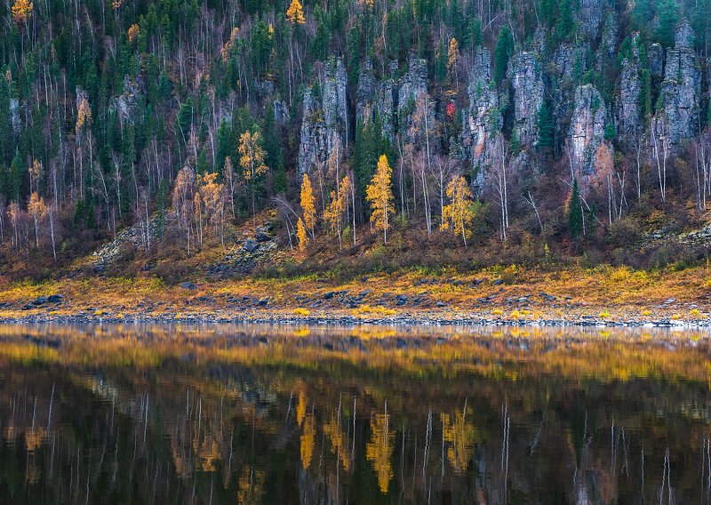 эвенкия, подкаменная тунгуска, суломайские столбы, река, отражение, осень, лес, тайга Суломайские столбыphoto preview