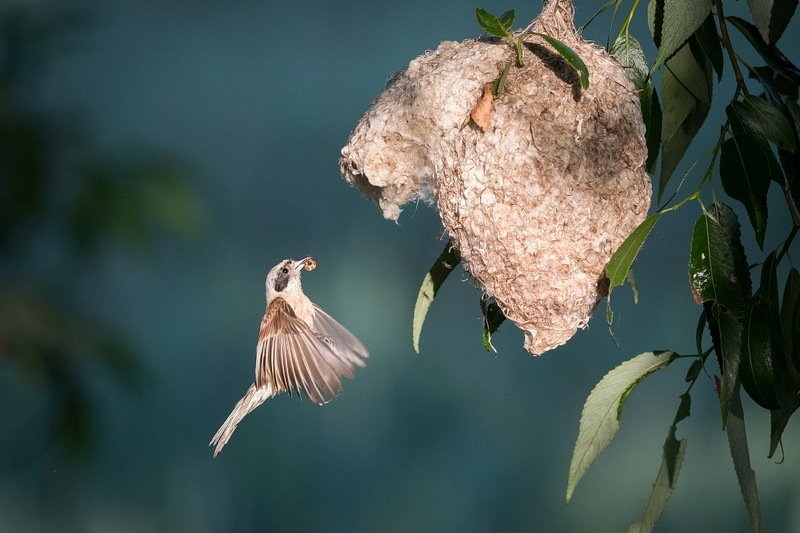 Свет свету рознь.photo preview