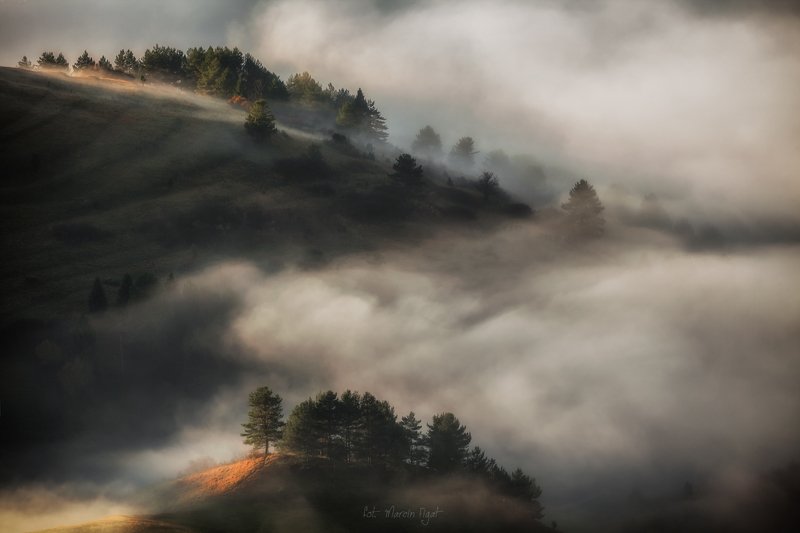 Autumn fog. фото превью