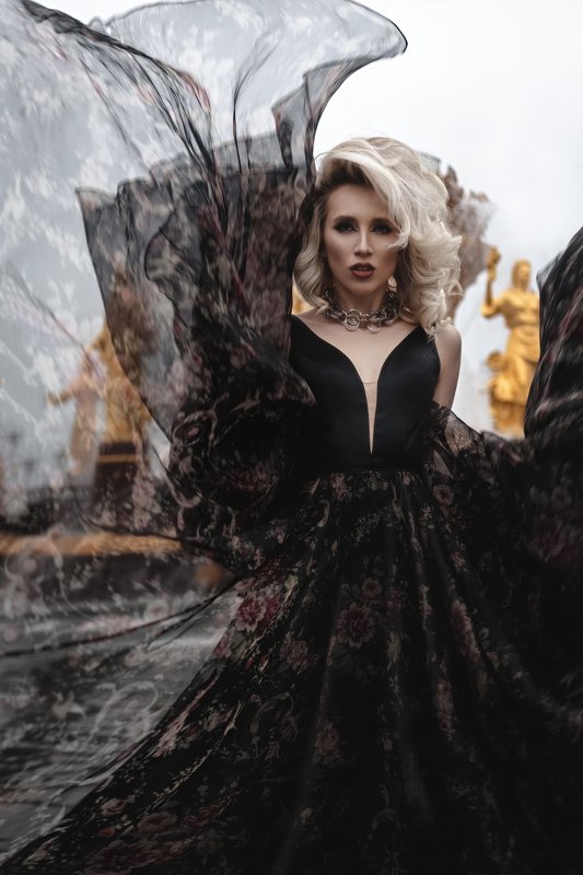 Despairphoto preview