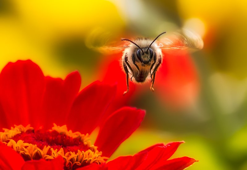 Тогда я лечу к вам.photo preview