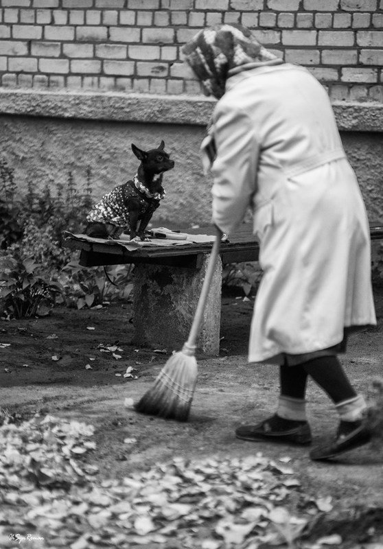 женщина,жанр,улица,собака По городу ...photo preview