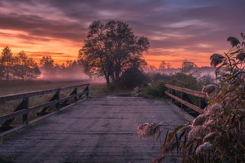 jeziorka, river, bridge, wooden, autumn, sunrise, landscape, nature, poland, dawn, view Bridge over the Jeziorka riverphoto preview