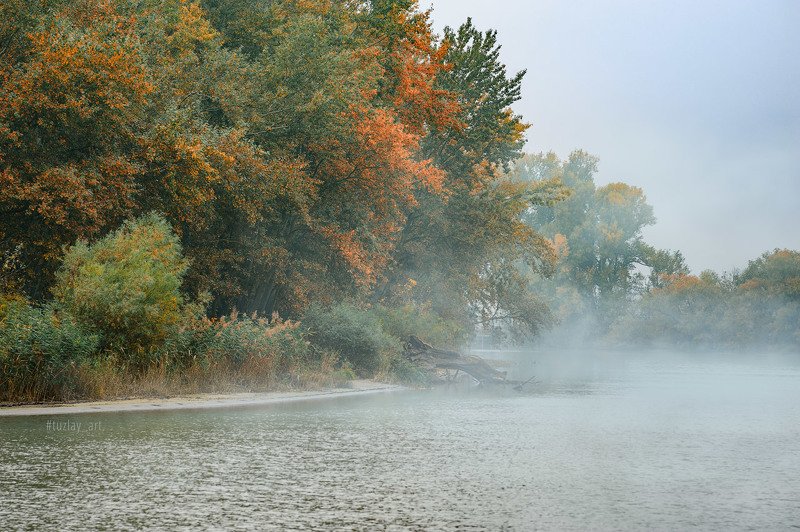 кубань, октябрь, кубанский берег, таманский полуостров, темрюк Октябрьское Кубанское 2019photo preview