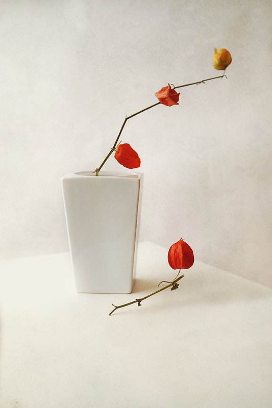 Физалисphoto preview