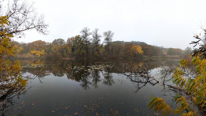 пейзаж,осень,релакс,отражение,вода,деревья,октябрь, ***photo preview