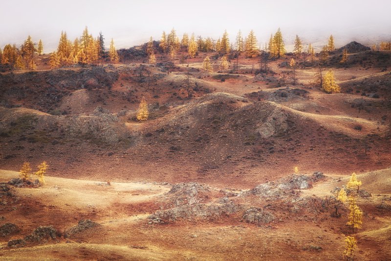 алтай, курай Футуристический Алтайphoto preview