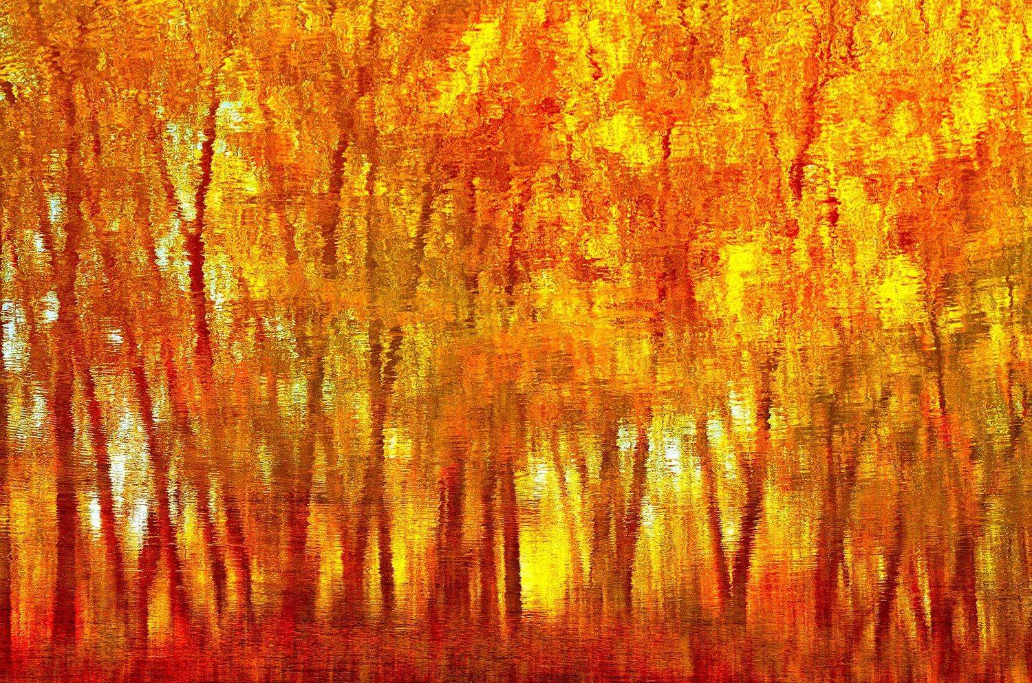 Reflected Autumn. Автор: Dr Didi Baev abstract, abstraction, abstract-art, art, autumn, color, colors, color-image, nature, photography, reflection,, Dr Didi Baev