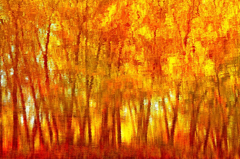 abstract, abstraction, abstract-art, art, autumn, color, colors, color-image, nature, photography, reflection, Reflected Autumnphoto preview