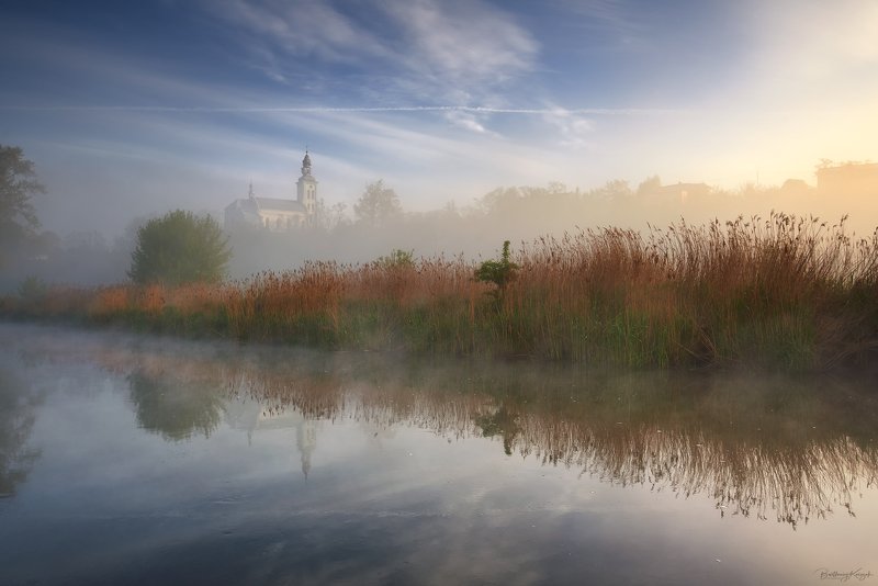 Spring memoriesphoto preview