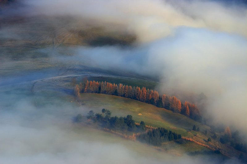 pieniny, mist, fog, trees, morning, sunrise, Curvesphoto preview