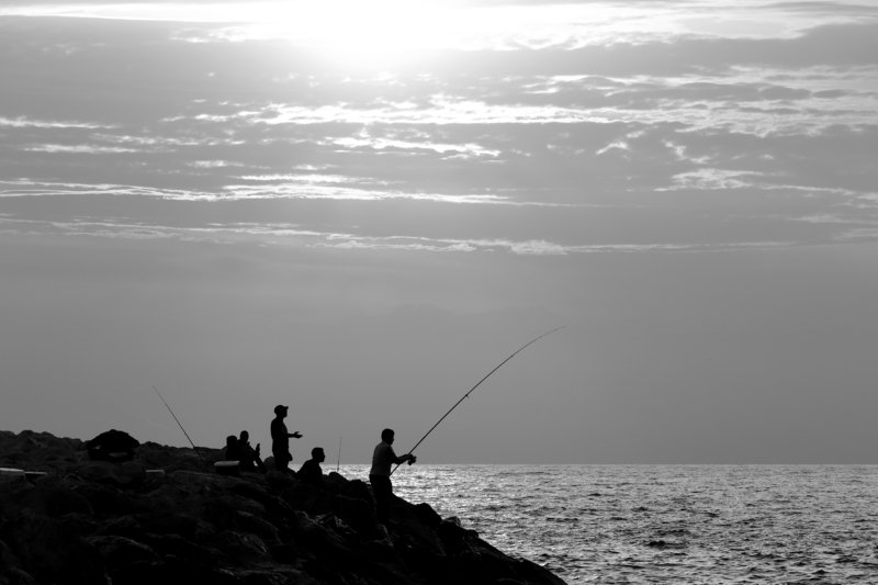 silhouettes ...#24photo preview