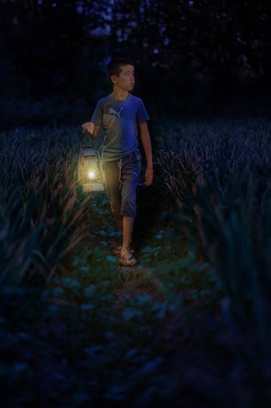 ночь, фонарь Темной ночью, огородомphoto preview