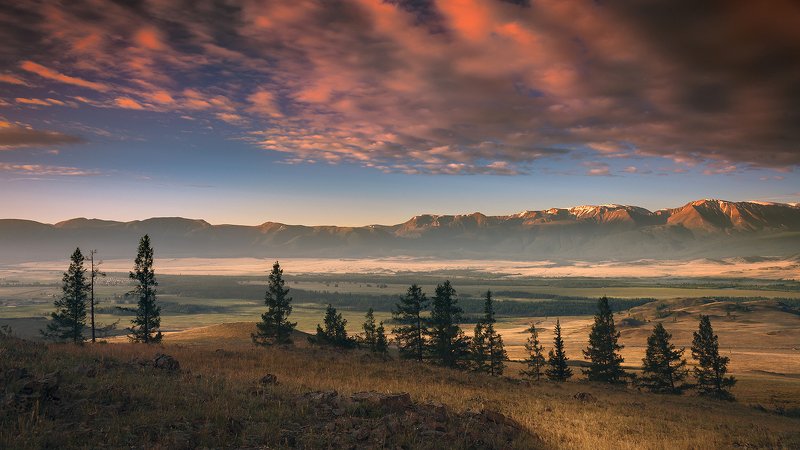 пейзаж, природа, утро, восход, облака, небо, красный, степь, долина, горы, Алтай, Курай, хребет, северо-чуйский, путешествие, туризм, панорама Утро в Куреphoto preview